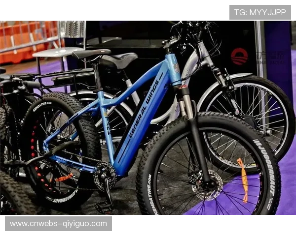 角田裕毅巴西站虚拟安全车下进站策略奏效 角田裕毅巴西站虚拟安全车下进站策略奏效